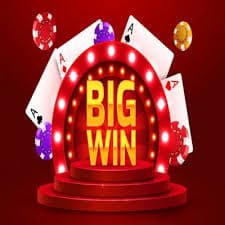 bet5055 vip